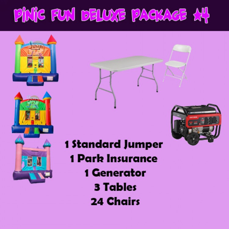 .#4 PINIC FUN DELUXE PACKAGE (New)