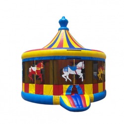 Carousel Jumper #2