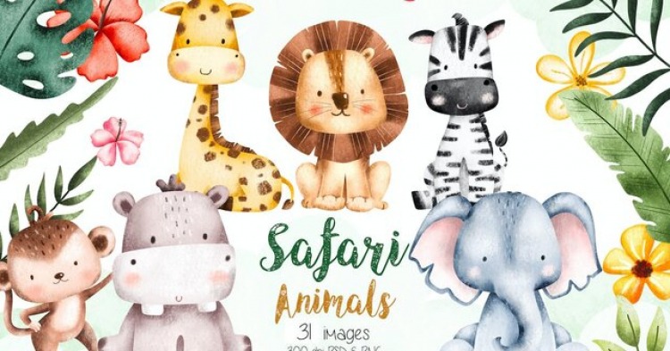 Safari Digital Banner