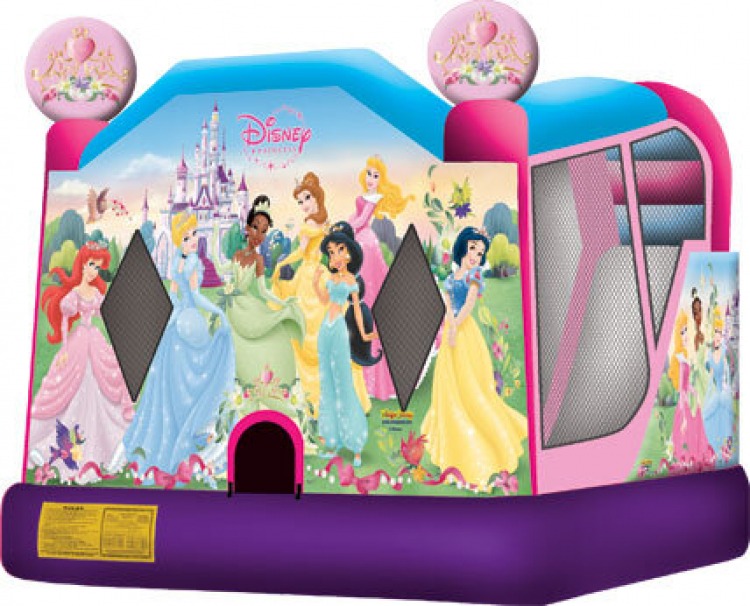 Disney Princess Combo Trademark 4 in 1