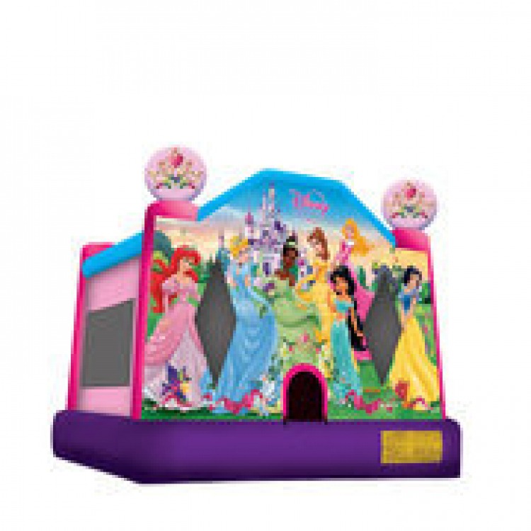 Disney Princess Trademark 15x15