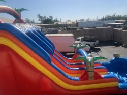 2020ft 1719970089 Oasis Double Waterslide 20 Ft.