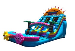 1000057245 1752266174 Under the Sea Double Splash