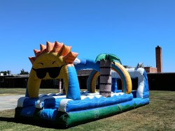 IMG 20240826 WA0006 1753311395 Slip N Slide New Paradise Dual Lane
