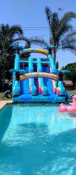 WhatsApp20Image202024 07 1020at2016.06.50 2ba2cb61 1751486825 Island Tiki Twin Splash 18'