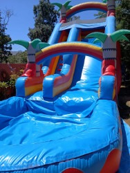 WhatsApp20Image202024 08 1820at2020.44.09 7e0d35df 1753308030 OASIS WATERSLIDE 18 FT.